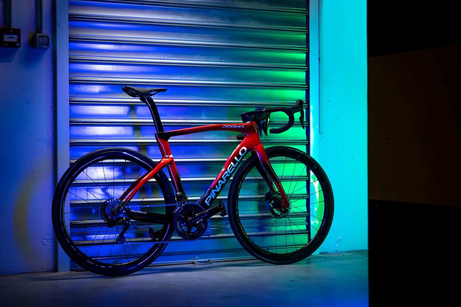 DOGMA F 2024 Series